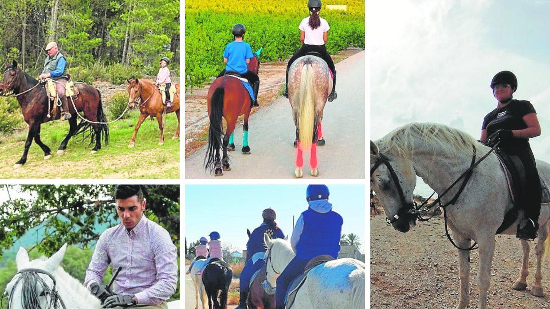 Routes to discover the interior and the regional coast on the back of a horse Pledge Times